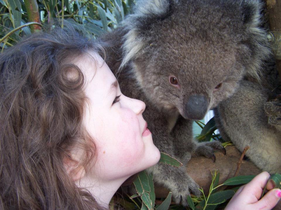 Fauna Australia Wildlife Retreat Lavers Hill Exterior foto