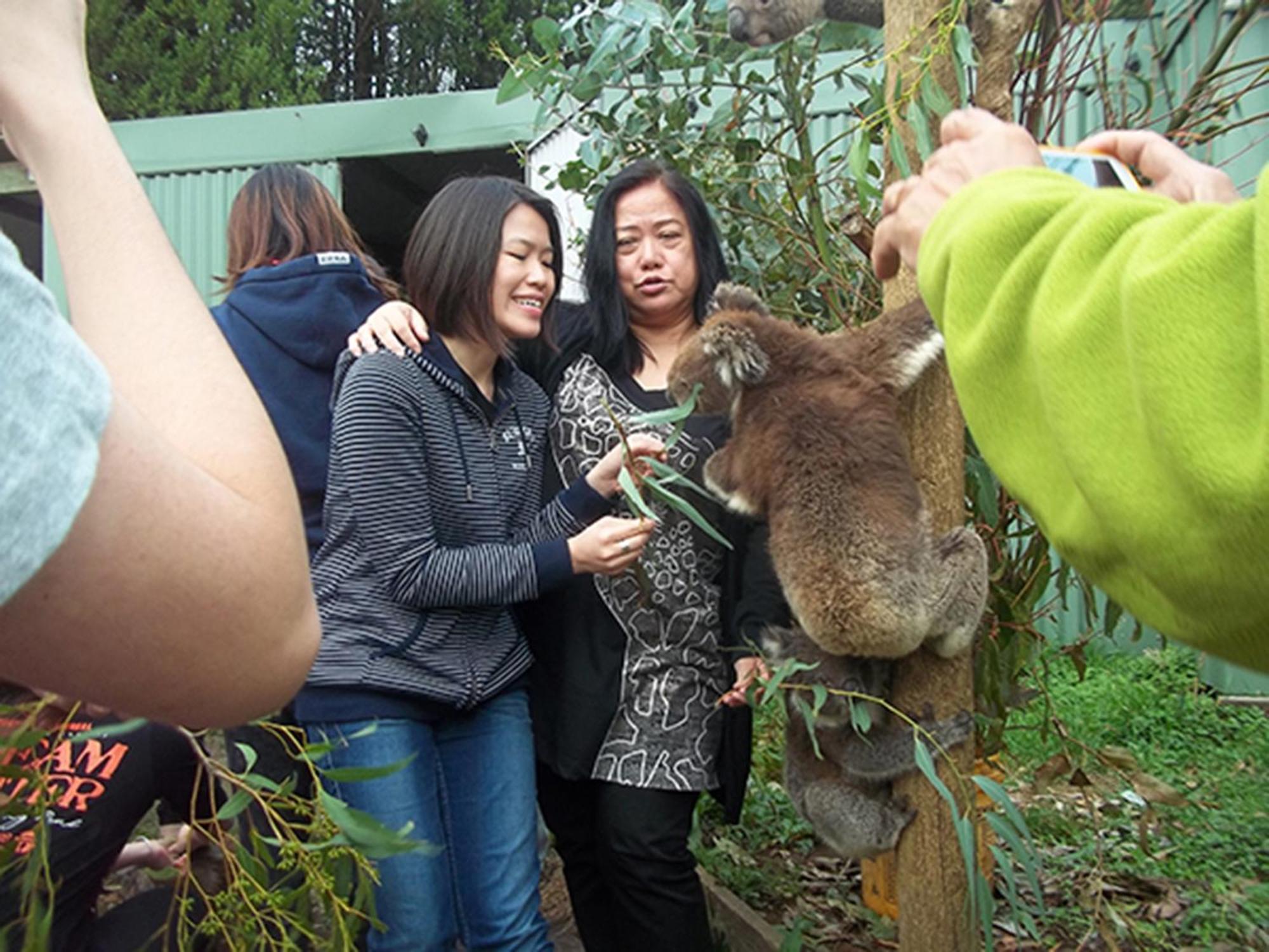 Fauna Australia Wildlife Retreat Lavers Hill Exterior foto