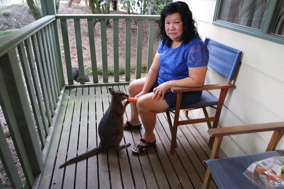 Fauna Australia Wildlife Retreat Lavers Hill Exterior foto