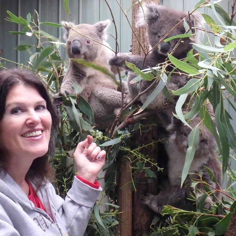 Fauna Australia Wildlife Retreat Lavers Hill Exterior foto