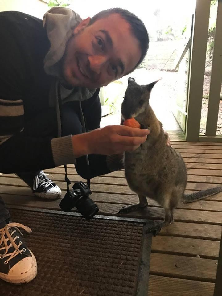 Fauna Australia Wildlife Retreat Lavers Hill Exterior foto